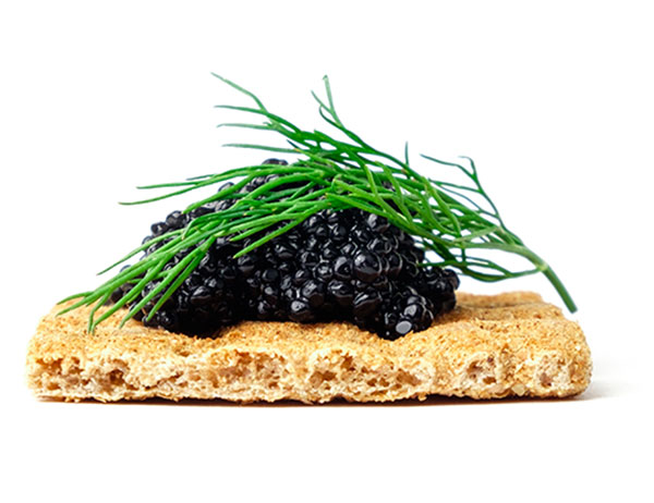 home1-main-tab-image6 f